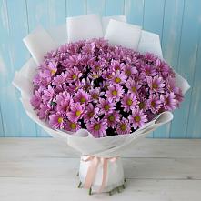 Букет цветов из:  Хризантемы в Первое Мая