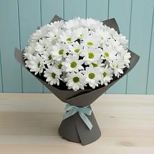 Букет цветов из:  Хризантемы #REPLACE_PRED# Первое Мая