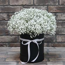 Цветочная композиция из Гипсофила в шляпной коробке в Первое Мая